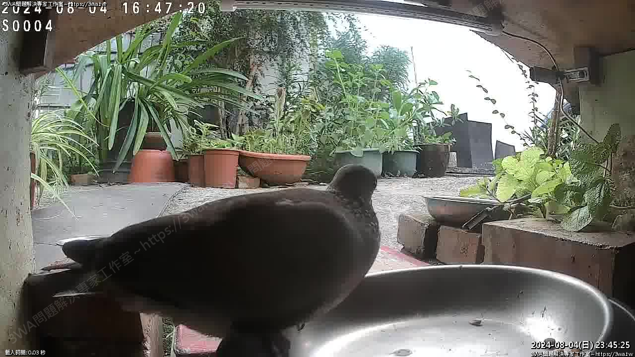 //mail.3wa.tw/photo/small.php?w_size=1280&compassion=95&file_name=users/shadow/1722786325_2.jpg&n&nod