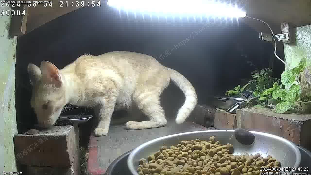 //mail.3wa.tw/photo/small.php?w_size=1280&compassion=95&file_name=users/shadow/1722786325_3.jpg&n&nod