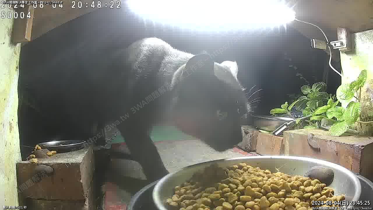 //mail.3wa.tw/photo/small.php?w_size=1280&compassion=95&file_name=users/shadow/1722786325_4.jpg&n&nod