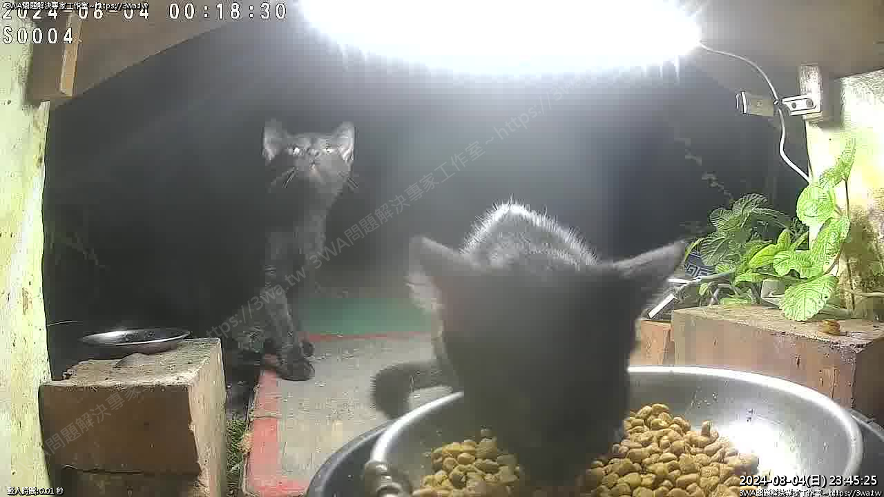 //mail.3wa.tw/photo/small.php?w_size=1280&compassion=95&file_name=users/shadow/1722786325_6.jpg&nod&n