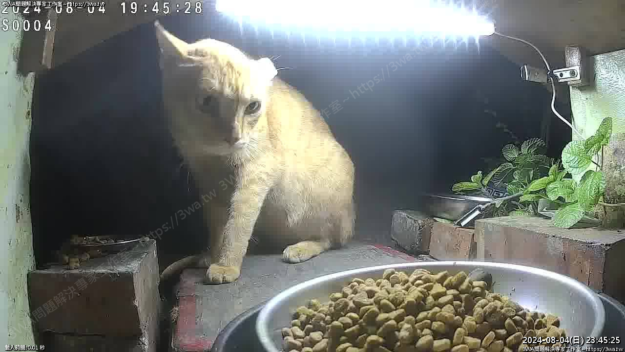 //mail.3wa.tw/photo/small.php?w_size=1280&compassion=95&file_name=users/shadow/1722786325_7.jpg&n&nod