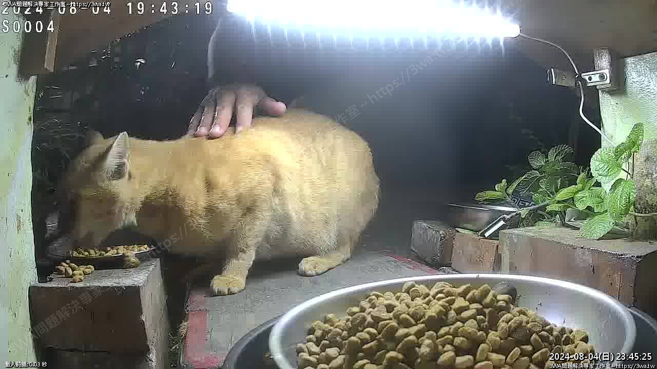 //mail.3wa.tw/photo/small.php?w_size=1280&compassion=95&file_name=users/shadow/1722786325_8.jpg&n&nod