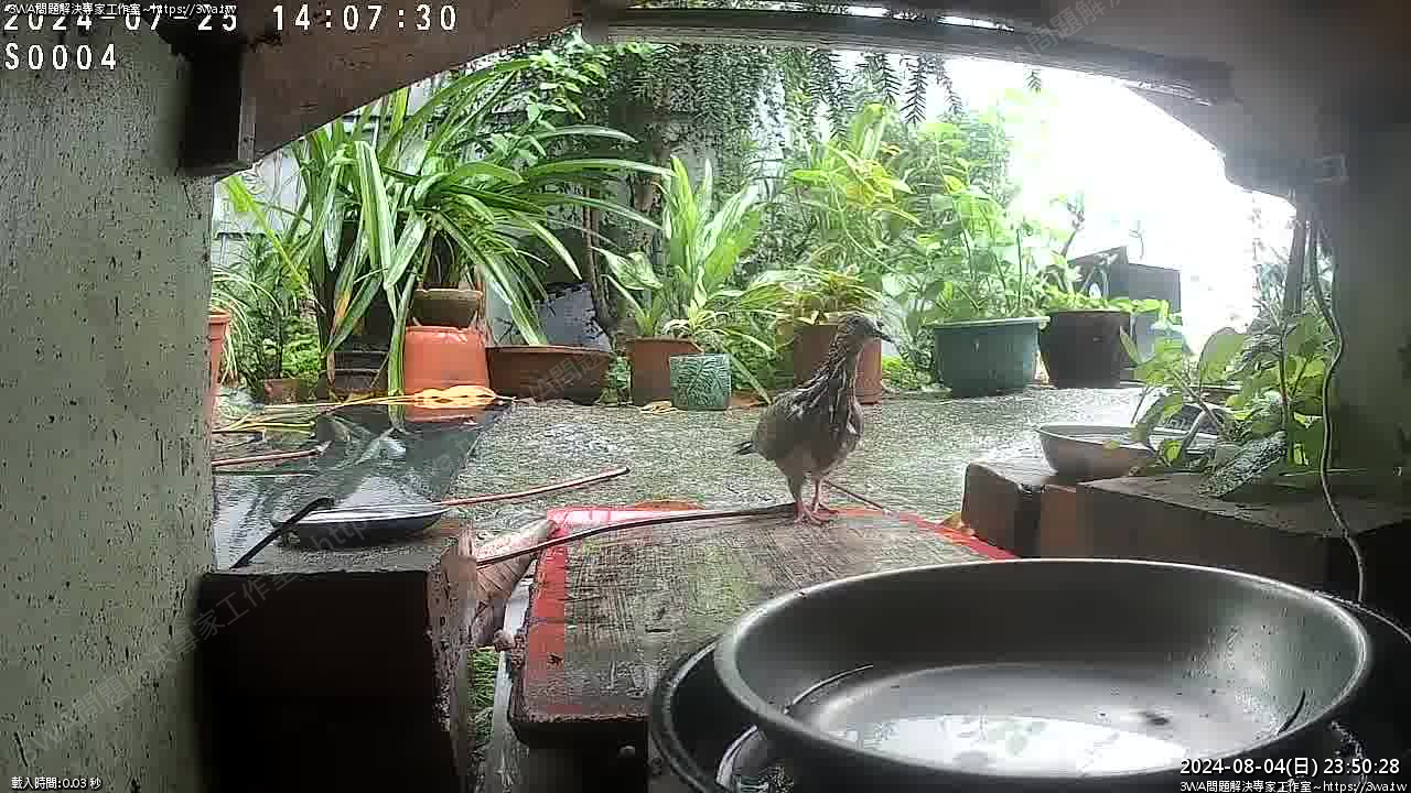 //mail.3wa.tw/photo/small.php?w_size=1280&compassion=95&file_name=users/shadow/1722786628_1.jpg&n&nod