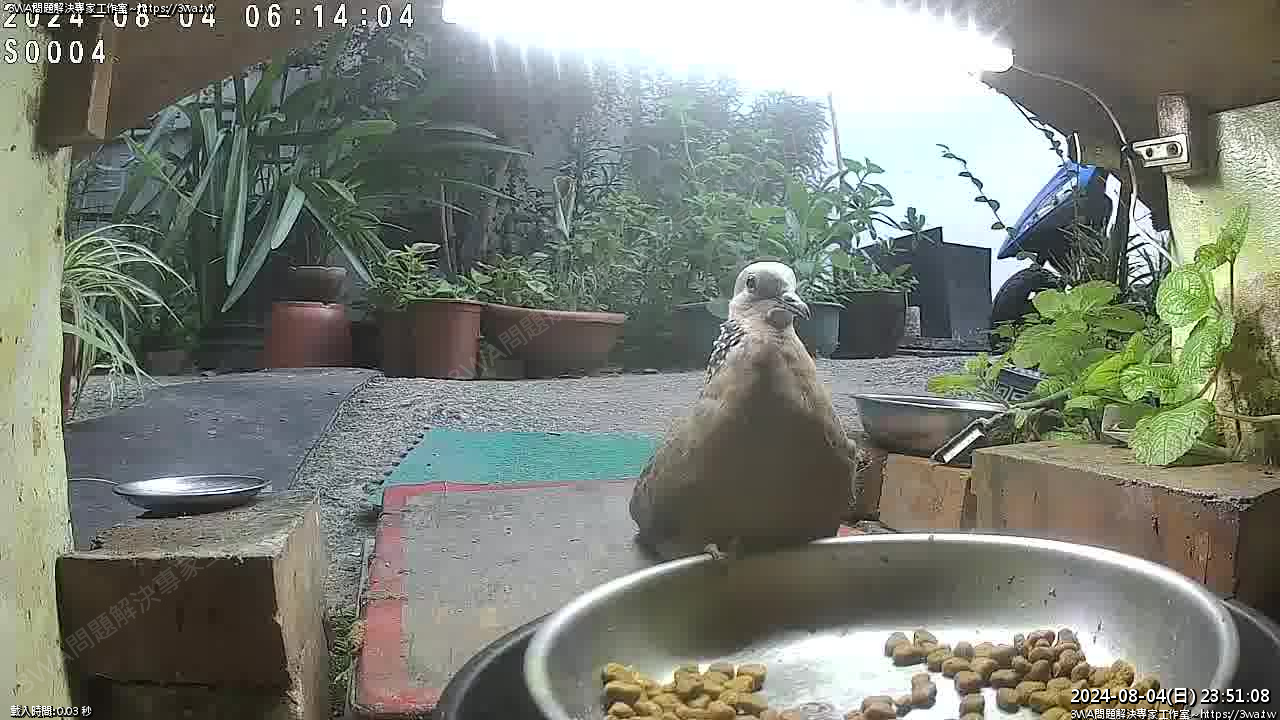 //mail.3wa.tw/photo/small.php?w_size=1280&compassion=95&file_name=users/shadow/1722786668_1.jpg&n&nod