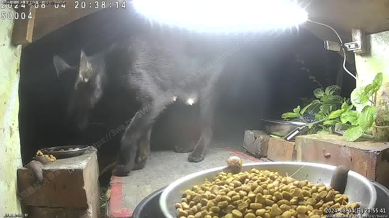 //mail.3wa.tw/photo/small.php?w_size=1280&compassion=95&file_name=users/shadow/1722786941_1.jpg&n&nod