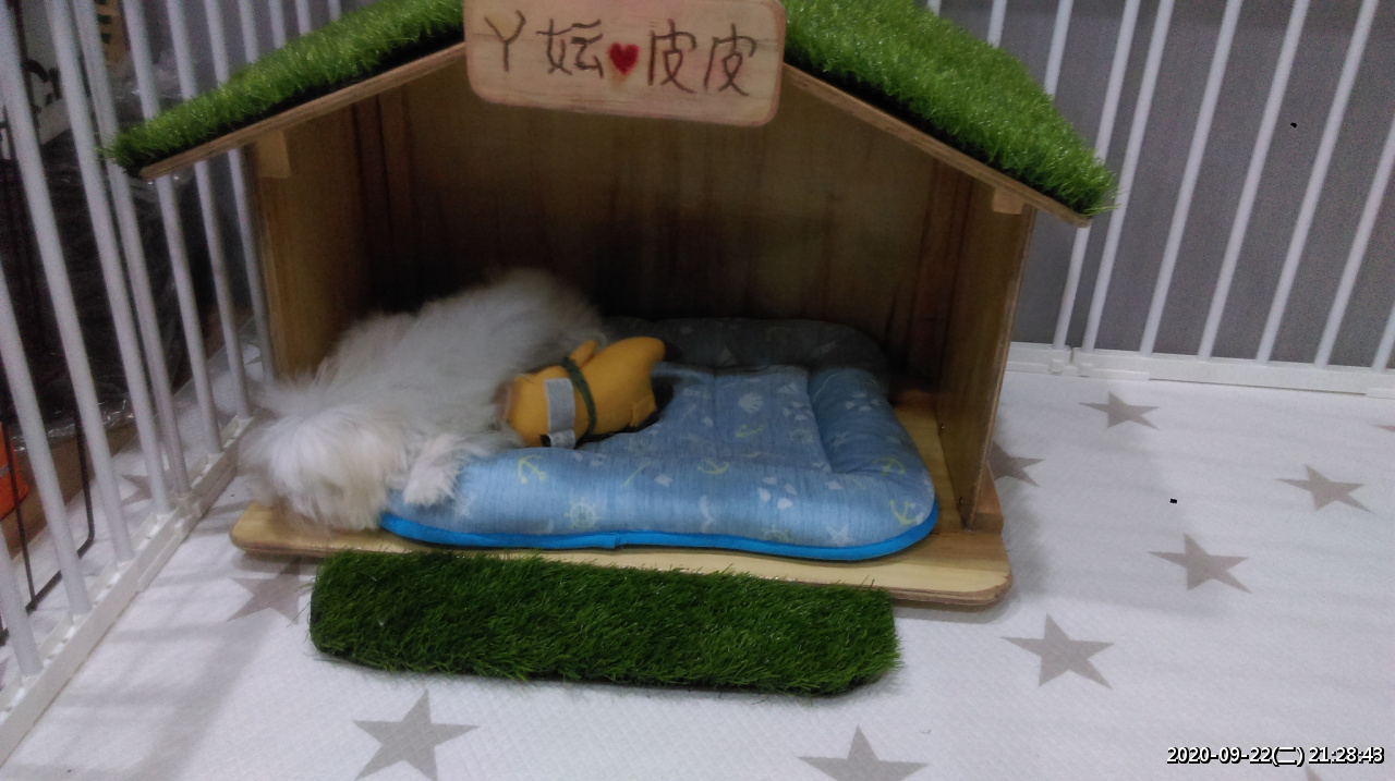 //mail.3wa.tw/photo/small.php?w_size=1280&compassion=95&file_name=users/shadow/1600783921_2.jpg&noshow=1&height=400