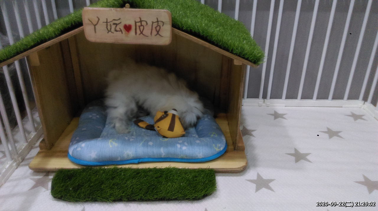 //mail.3wa.tw/photo/small.php?w_size=1280&compassion=95&file_name=users/shadow/1600783923_4.jpg&noshow=1&height=400