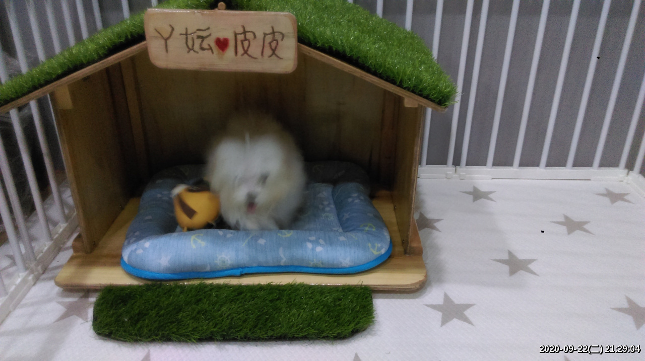 //mail.3wa.tw/photo/small.php?w_size=1280&compassion=95&file_name=users/shadow/1600783923_5.jpg&noshow=1&height=400