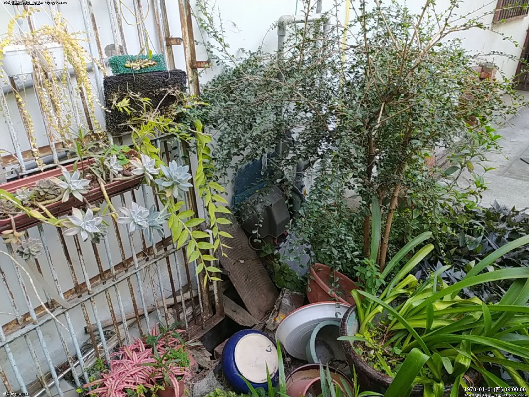 //mail.3wa.tw/photo/small.php?w_size=1280&compassion=95&file_name=users/shadow/1674296618.jpg&rotate=90