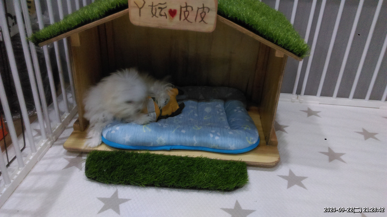 //mail.3wa.tw/photo/small.php?w_size=1280&compassion=95&file_name=users/shadow/1600783919_1.jpg&noshow=1&height=400